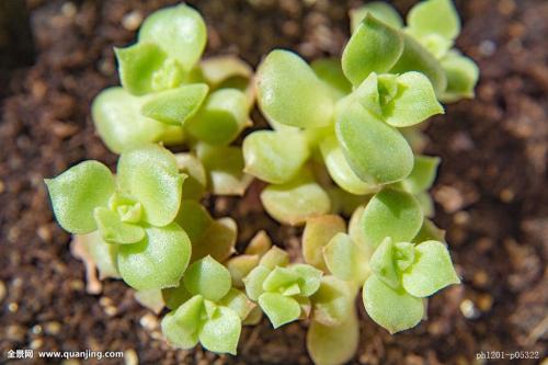 3124ʱ͡ͼ۸ÿϵ90Ԫ85Ԫ